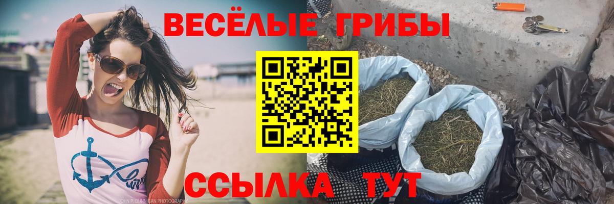 Ипатово  Галлюциногенные грибы Psilocybine cubensis  Псилоцибиновые грибы MAGIC MUSHROOMS  Вход с VPN 