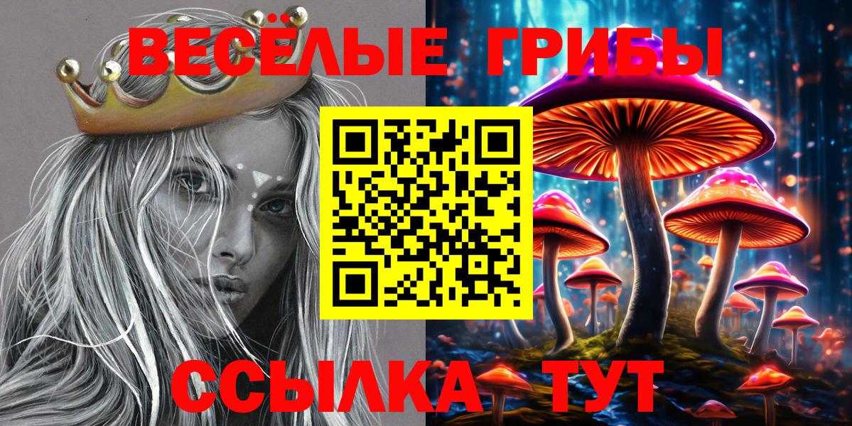 Галлюциногенные грибы Psilocybe Ипатово